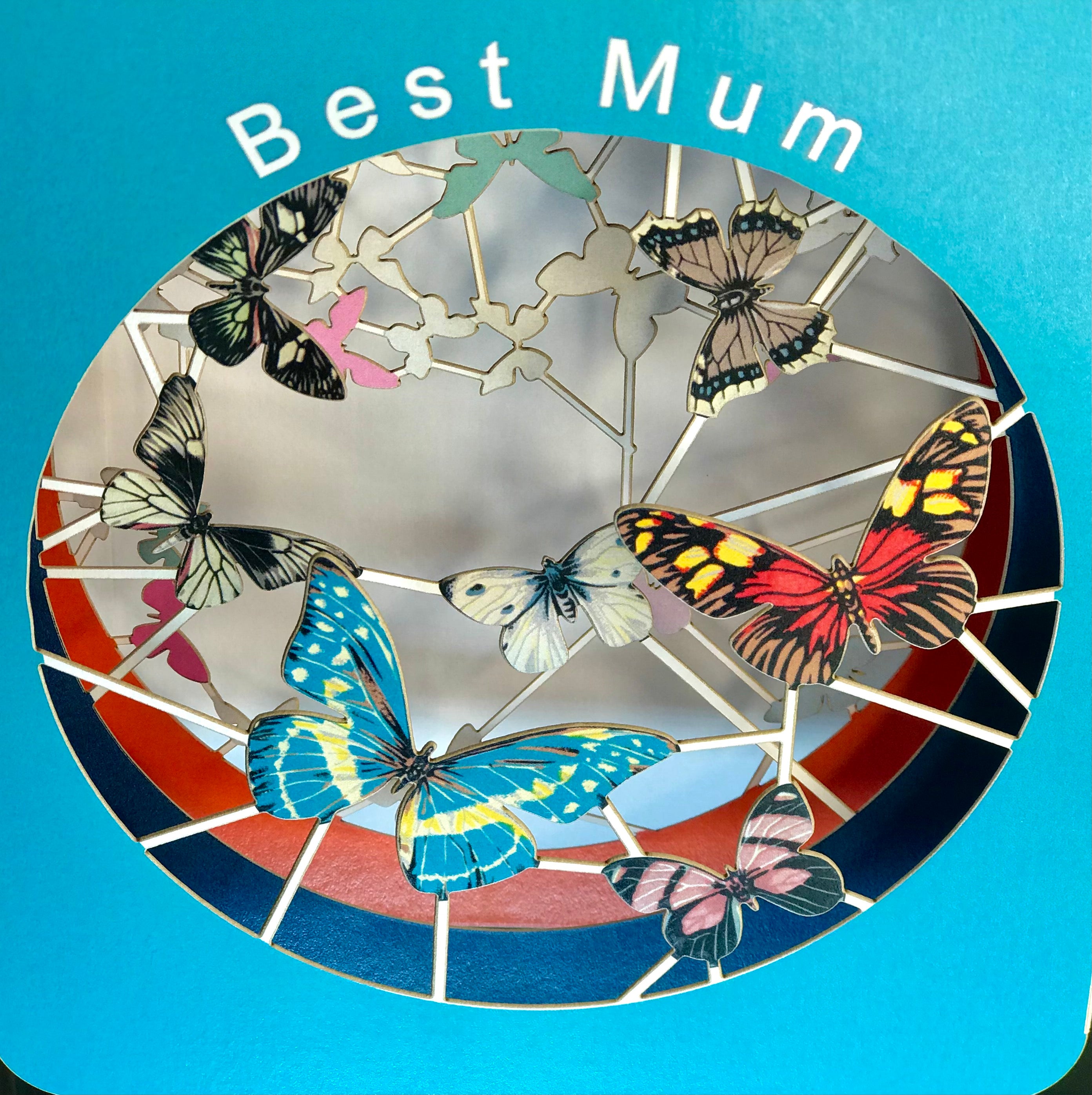 Best Mum Mothers Day Butterfly Mothering Sunday 3D Box Greetings Card